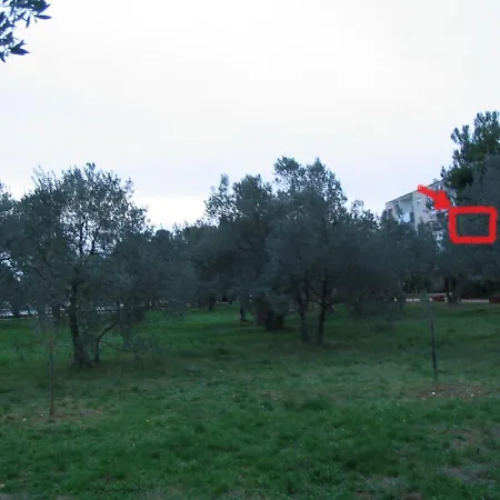 Oliva Apartmán